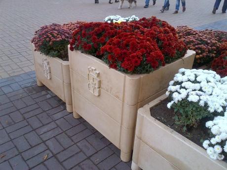 Uno città in uno stato così penoso che quando passi qualche giorno a Sofia provi invidia... Uno città in uno stato così penoso che quando passi qualche giorno a Sofia provi invidia...