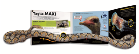 Strenne natalizie animali da record