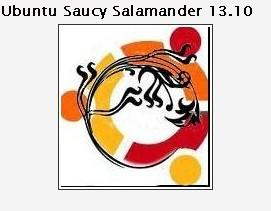 ubuntu salmander 13.10.jpg