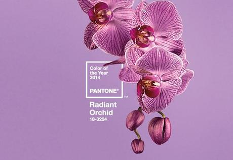 colore dell'anno 2014 Radiant Orchid