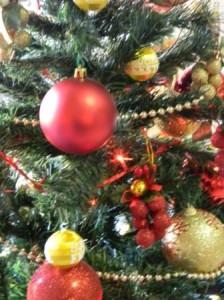 Come nasce l’albero di Natale