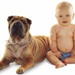 Bambini e allergie, la miglior difesa immunitaria? Un cane in casa