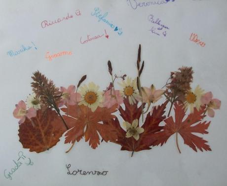 I calendari con i fiori secchi di maestra Sofia