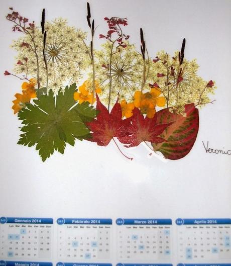 I calendari con i fiori secchi di maestra Sofia