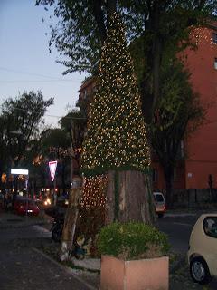 L'ALBERO-PRESEPE 2013