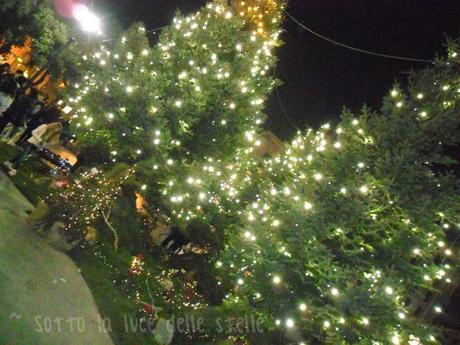 Sotto la luce... del mio Natale! (Palermo, 2013)