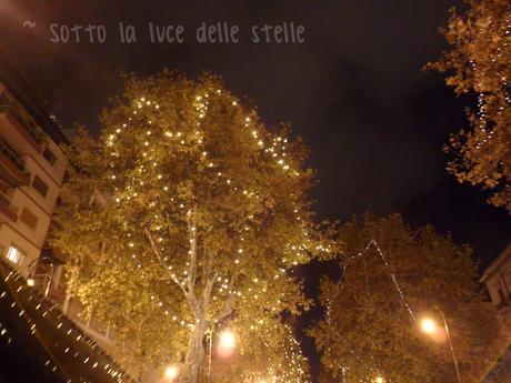 Sotto la luce... del mio Natale! (Palermo, 2013)