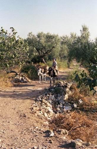 vintage views vintage views