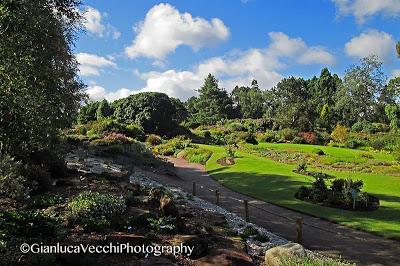 Visitare Giardino Botanico di Edimburgo