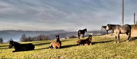 Uscita bdc dell' 1/1, 2014 ovvero...si inizia con la stradale Uscita bdc dell' 1/1, 2014 ovvero...si inizia con la stradale