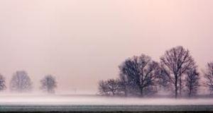 Velio AbatiMattinale mattinale