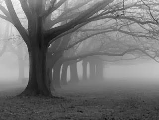 Il vento fra i piedi Il vento fra i piedi