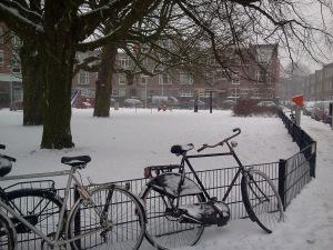 andare in bicicletta in Olanda