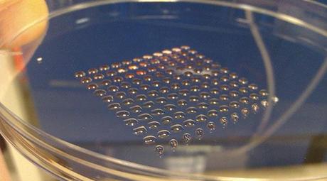 Le Tecnologie più Attese del 2014 Le Tecnologie più Attese del 2014