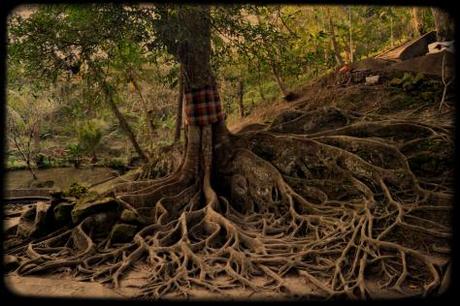 Ubud, dove la natura è arte #2 Ubud, dove la natura è arte #2