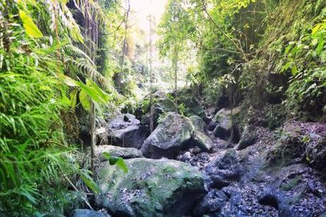 Ubud, dove la natura è arte #2 DSC_2497