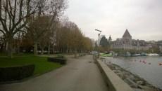 The Lively Losanna The Lively Losanna