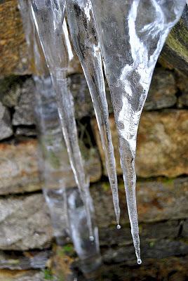 Quando la natura costruisce arte! Quando la natura costruisce arte!