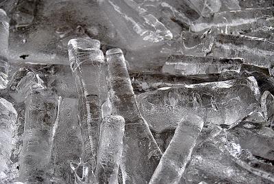 Quando la natura costruisce arte! Quando la natura costruisce arte!