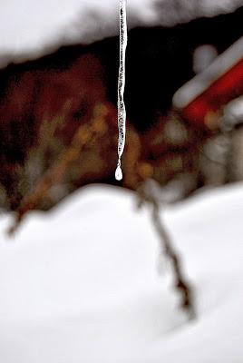 Quando la natura costruisce arte! Quando la natura costruisce arte!