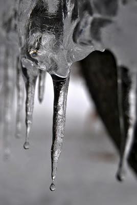 Quando la natura costruisce arte! Quando la natura costruisce arte!