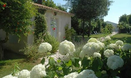 mmlabaro45 mmlabaro45