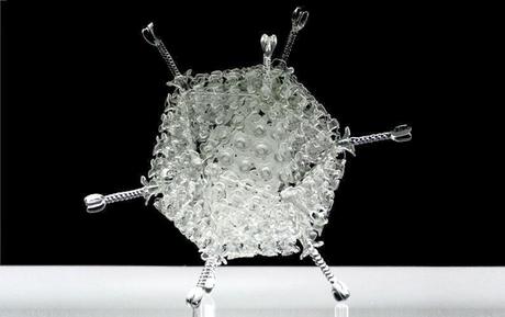 Luke Jerram, l'artista che realizza virus, batteri e protozoi in vetro soffiato