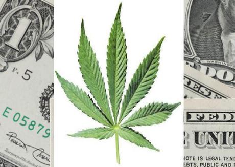 Marijuana,Colorado,Medical Marijuana,Cannabis Science,Growlife