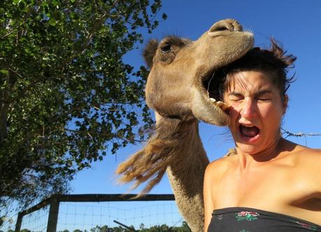 Come fare un autoscatto, ovvero il #Selfie perfetto