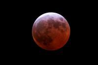 “Madreluna” by Luigi Pascali www.gizmodo.it