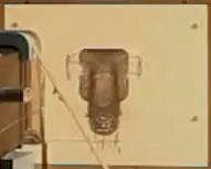 F1 | A muso duro e a formichiere caterhamnose