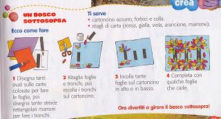 Un bosco sottosopra Un bosco sottosopra