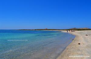 ASINARA2