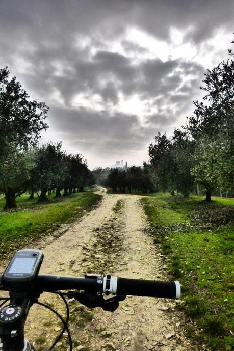 Prima uscita marathon ovvero...mtb del 10/1, 2014 Prima uscita marathon ovvero...mtb del 10/1, 2014