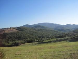 La Monnola, il bosco della Fascia e di Collerotondo. Aree da tutelare tra Palmoli, Carunchio, Celenza e Tufillo