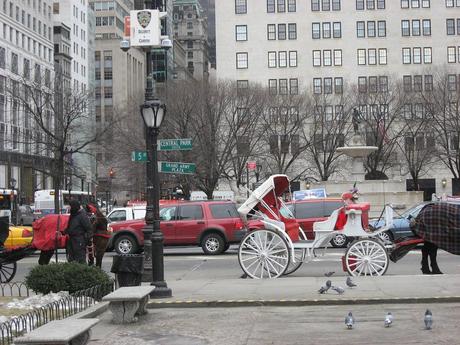 New York, carrozze e cocchieri