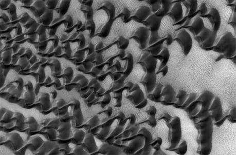 Dune barcane che si sovrappongono. Crediti: NASA/JPL-CALTECH/UNIVERSITY OF ARIZONA 