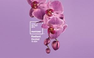radiant orchid Pantone 2014