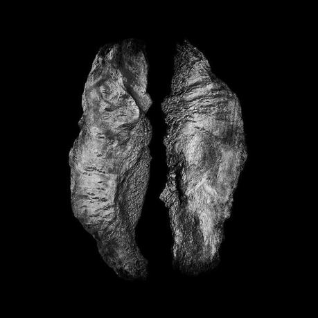 Saffronkeira Saffronkeira