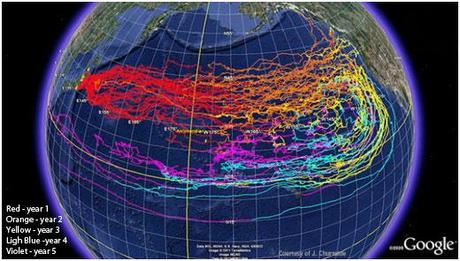 L’Oceano Pacifico è “rotto”. Le radiazioni di Fukushima si estendono