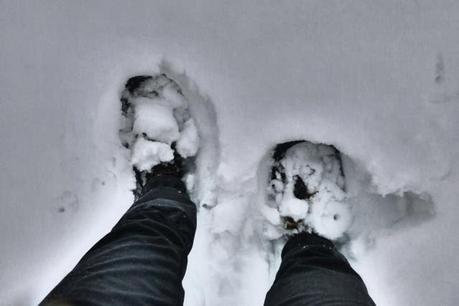 Escursione con le ciaspole (19/1, 2014) Escursione con le ciaspole (19/1, 2014)