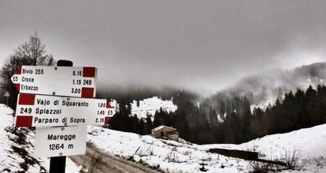 Escursione con le ciaspole (19/1, 2014) Escursione con le ciaspole (19/1, 2014)