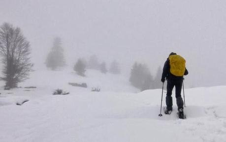 Escursione con le ciaspole (19/1, 2014) Escursione con le ciaspole (19/1, 2014)