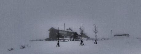 Escursione con le ciaspole (19/1, 2014) Escursione con le ciaspole (19/1, 2014)