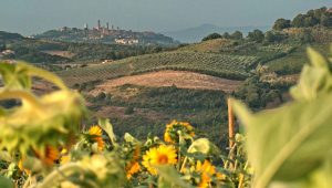 Le Torri di San Gimignano dalle colline (maupes.wordpress.com )