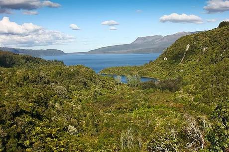 Visitare Rotorua e Tarawera Lake in Nuova Zelanda