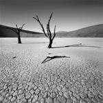 LAMPEDUSA DEGLI SBARCHI- testo collettivo anonimo – NOI REBELDIA Nina Papiorek