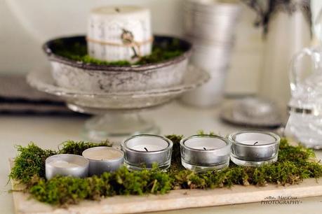 Mari Crea Photography shabby chic