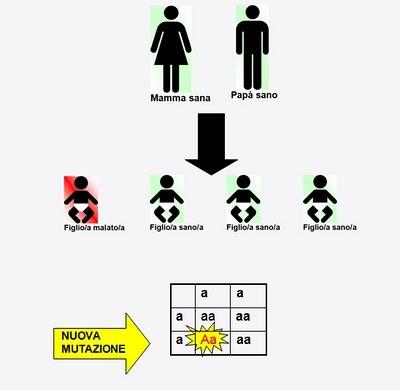 Mutazioni indotte da radiazioni e mutazioni ex novo: come distinguerle