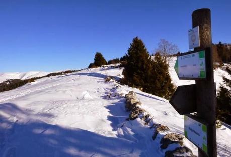 Escursione con le ciaspole (25/1, 2014) Escursione con le ciaspole (25/1, 2014)